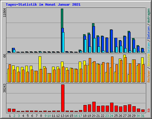 Tages-Statistik im Monat Januar 2021