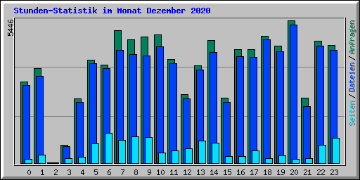 Stunden-Statistik im Monat Dezember 2020