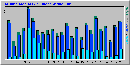 Stunden-Statistik im Monat Januar 2023