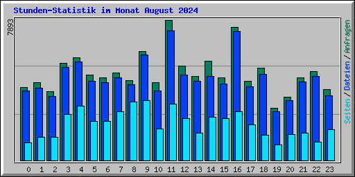 Stunden-Statistik im Monat August 2024