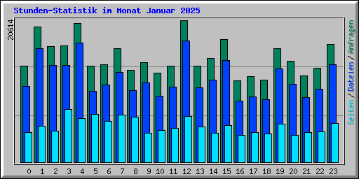 Stunden-Statistik im Monat Januar 2025